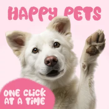 Do Dog Training Clickers Work? Benefits & Mistakes